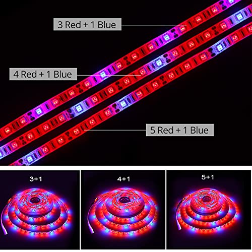 5M Full Spectrum LED Grow Light Strip for Indoor Plants - Red & Blue Phyto Lamp with IP65 Waterproof & 12V DC Adapter - Perfect for Hydroponics, Grow Tents, Home Gardening, Greenhouses & Vertical Farming