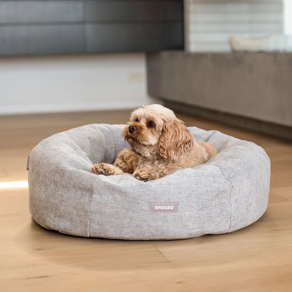 Panelled Cuddler Dog Bed - Soft & Supportive Orthopedic Pet Bed for Small to Medium Dogs | Perfect for Indoor Use, Crate Training & Cozy Napping Spots