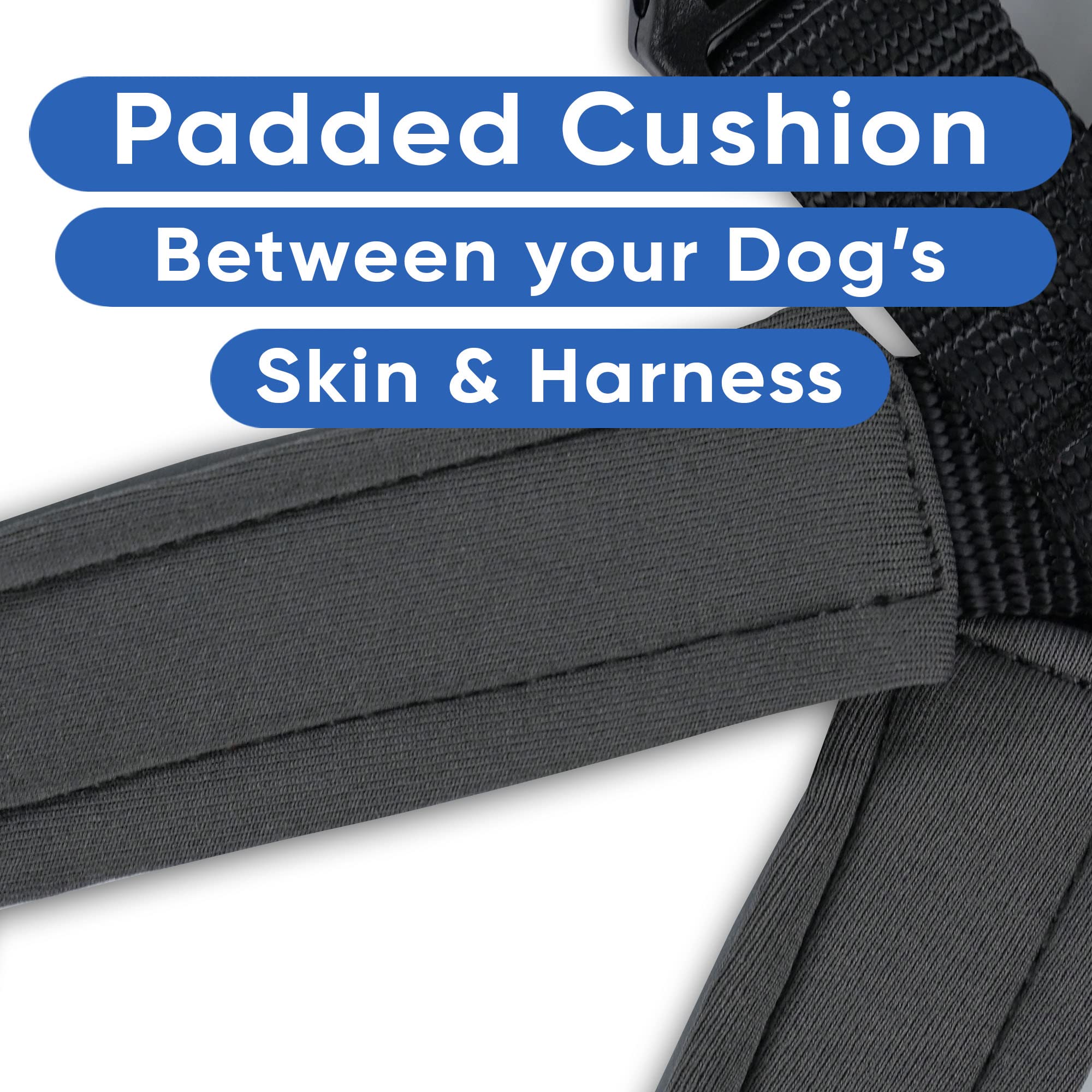 **Pawtitas Reflective Padded Dog Harness - Comfortable & Adjustable for Walking, Running, Hiking - Medium Black Pet Vest for Safety & Control**    *(Perfect for Night Walks, Outdoor Adventures & Training Sessions)*