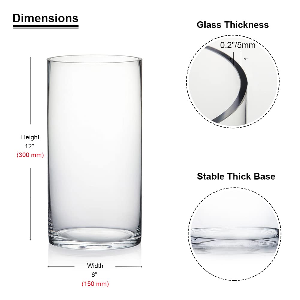 Enova Floral Clear Glass Cylinder Vase - 6