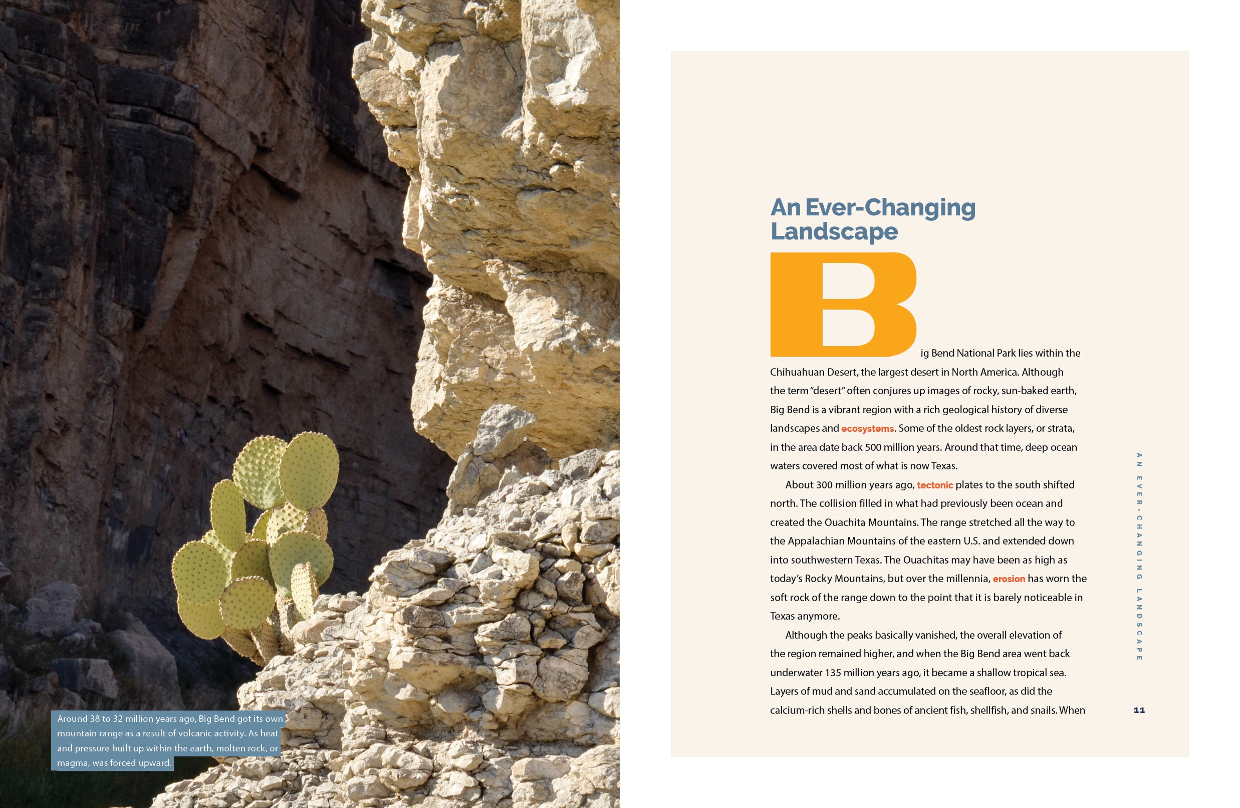 Big Bend National Park - Explore Scenic Hiking Trails & Stunning Desert Landscapes in Texas | Perfect for Outdoor Adventures & Nature Photography