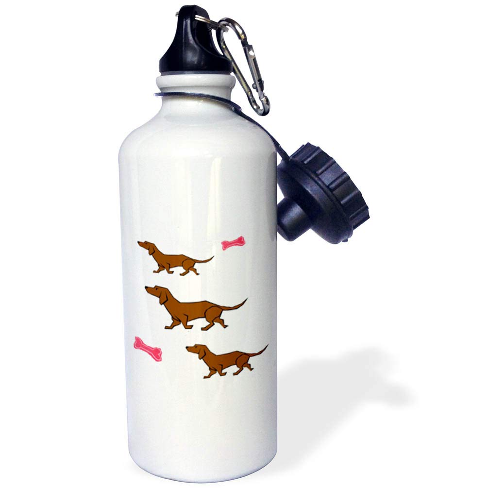 3D Cartoon Dachshunds with Red Bones Sports Water Bottle - 21oz Insulated Stainless Steel Water Bottle for Gym, Hiking & Outdoor Activities - BPA Free White Water Bottle for Kids & Adults