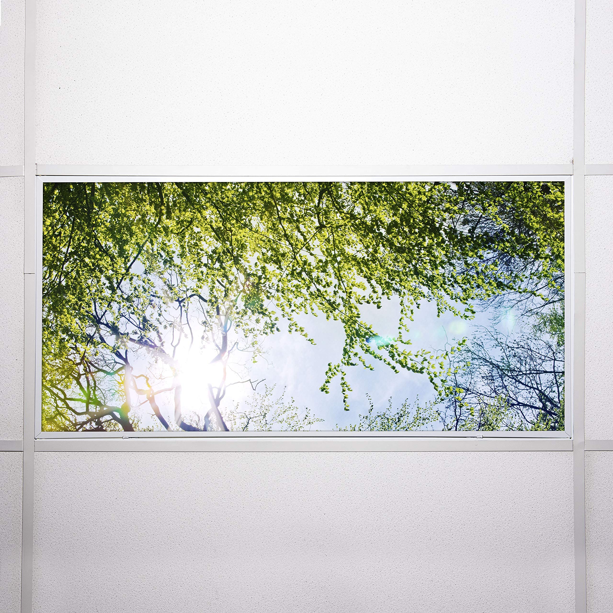 OCTO LIGHTS Fluorescent Light Covers for Classroom & Office - Reduce Eye Strain & Headaches by Eliminating Harsh Glare - Tree Design Decor (4-Pack) - Perfect for Schools, Offices, and Workspaces