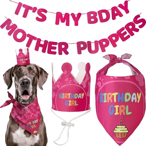 Dog Birthday Set - Girl