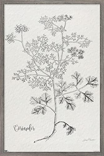 Barnwood Framed Version