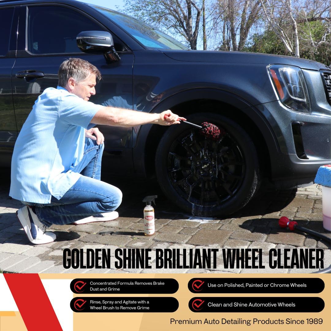 GOLDEN SHINE Premium Wheel Cleaner Spray - 16oz Chrome, Painted & Polished Wheel Cleaner - Safe for Alloy Rims & Hubcaps - Perfect for Car Detailing & Auto Care (44016)