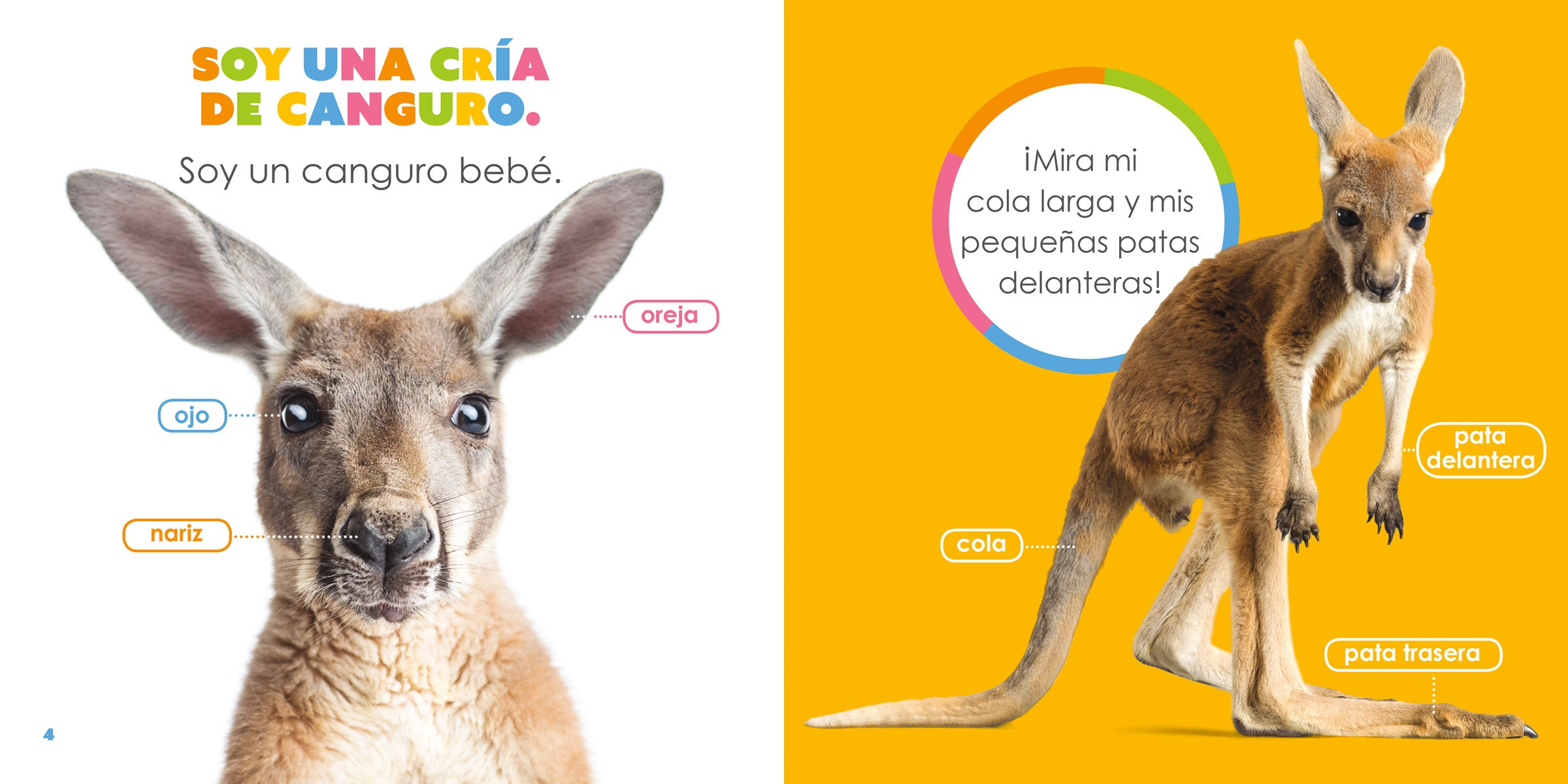 Baby Kangaroos Book 9781640262799 - Fun & Educational Animal Story for Kids, Perfect for Bedtime Reading & Early Learning