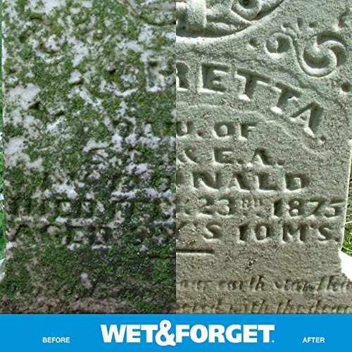 Wet & Forget Outdoor Multi-Surface Cleaner - Moss, Mold, Mildew & Algae Stain Remover | Ready-to-Use 64oz (4-Pack) | Perfect for Driveways, Patios, Roofs & Fences