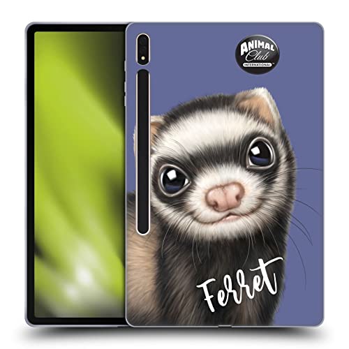 Ferret