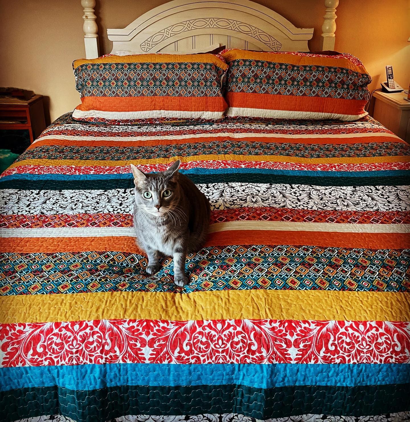 Boho Stripe 3-Piece Quilt Set - Queen Size, Soft Cotton Bedding for Bohemian Style Bedroom Decor | Perfect for Guest Rooms, Master Bedrooms & Cozy Home Styling