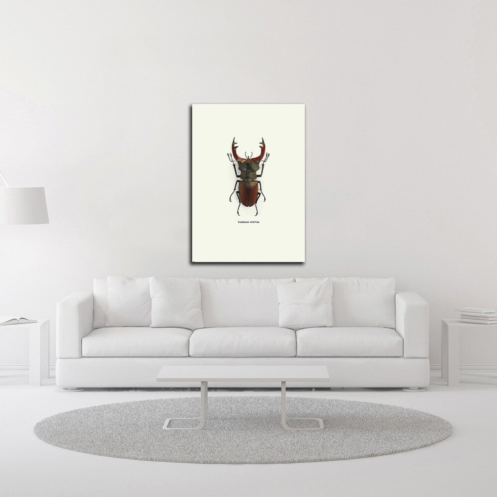 Beetle Red by GraphINC - Premium Canvas Wall Art Print, Ready to Hang - Perfect for Living Room, Bedroom & Office Decor