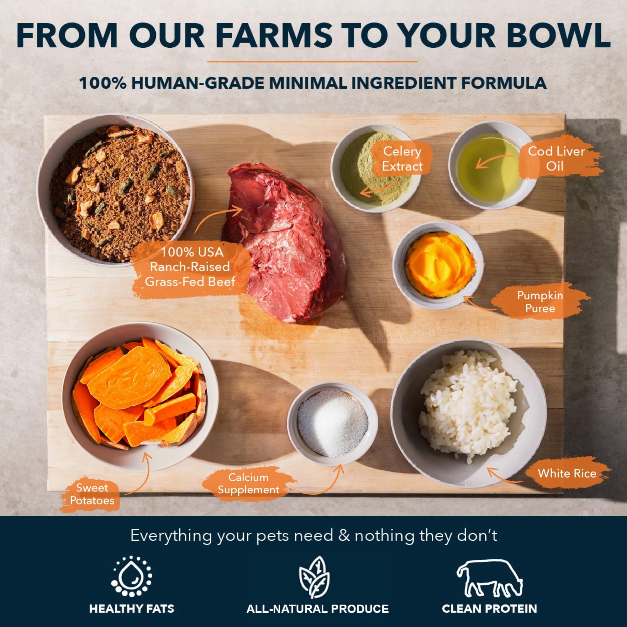 Premium Sensitive Stomach Dog Food - 100% Human-Grade Air-Dried Beef Recipe | Limited Ingredient, All-Natural Dog Food Made with USA Grass-Fed Beef | Dehydrated Complete Meal or Food Topper for Dogs with Digestive Issues (3.65lb) - Perfect for Picky Eaters & Dogs with Food Allergies