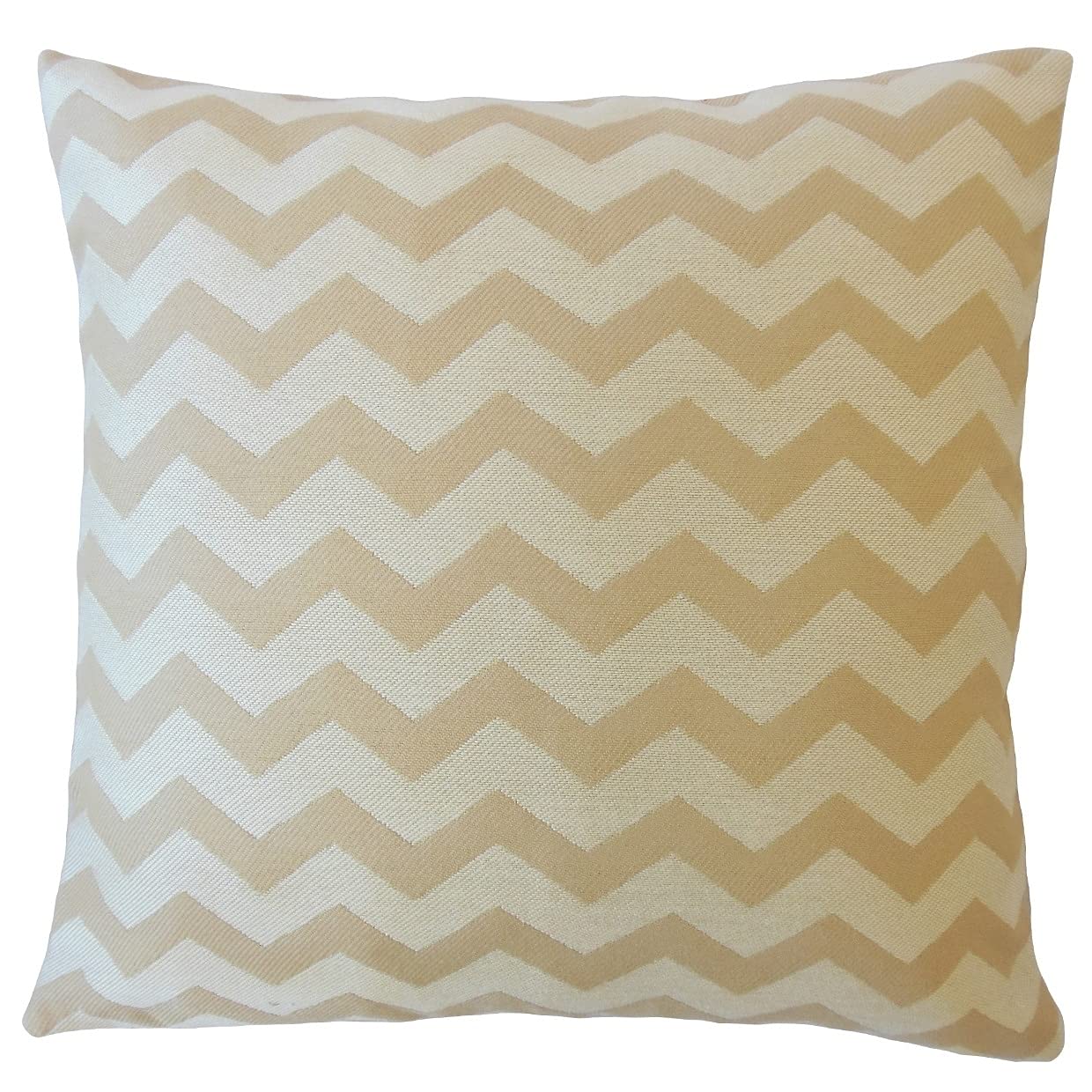 Ximran Chevron Down Filled Throw Pillow - Soft Shell Cover, 22x22 Inches Large Decorative Couch Pillow for Living Room, Bedroom & Home Decor