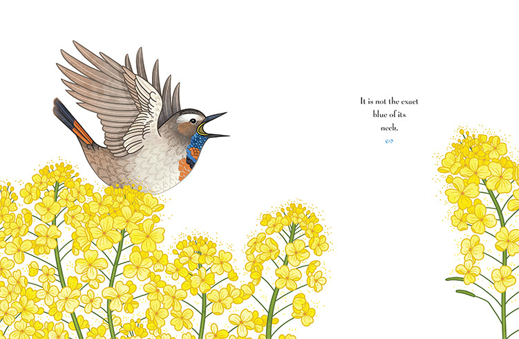 Discover the Name of a Bird - Bird Identification Guide for Birdwatchers & Nature Lovers | Perfect for Hiking, Birding, and Outdoor Adventures