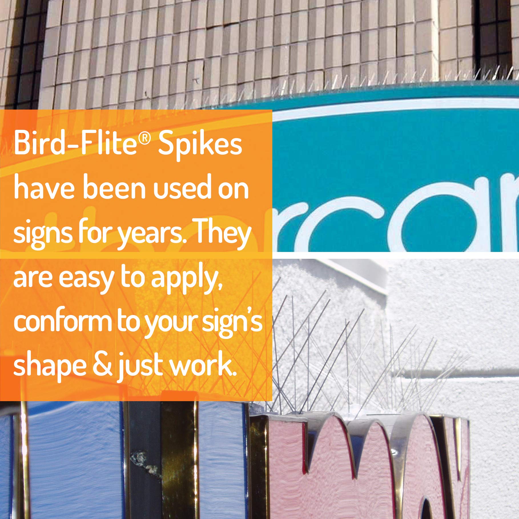 Bird Barrier Bird-Flite Stainless Steel Bird Spikes - 25 Ft. Length with Plastic Base & Adhesive | 5in Wide Metal Pigeon Deterrent Spikes for Roof, Balcony, Window Ledges & Outdoor Protection
