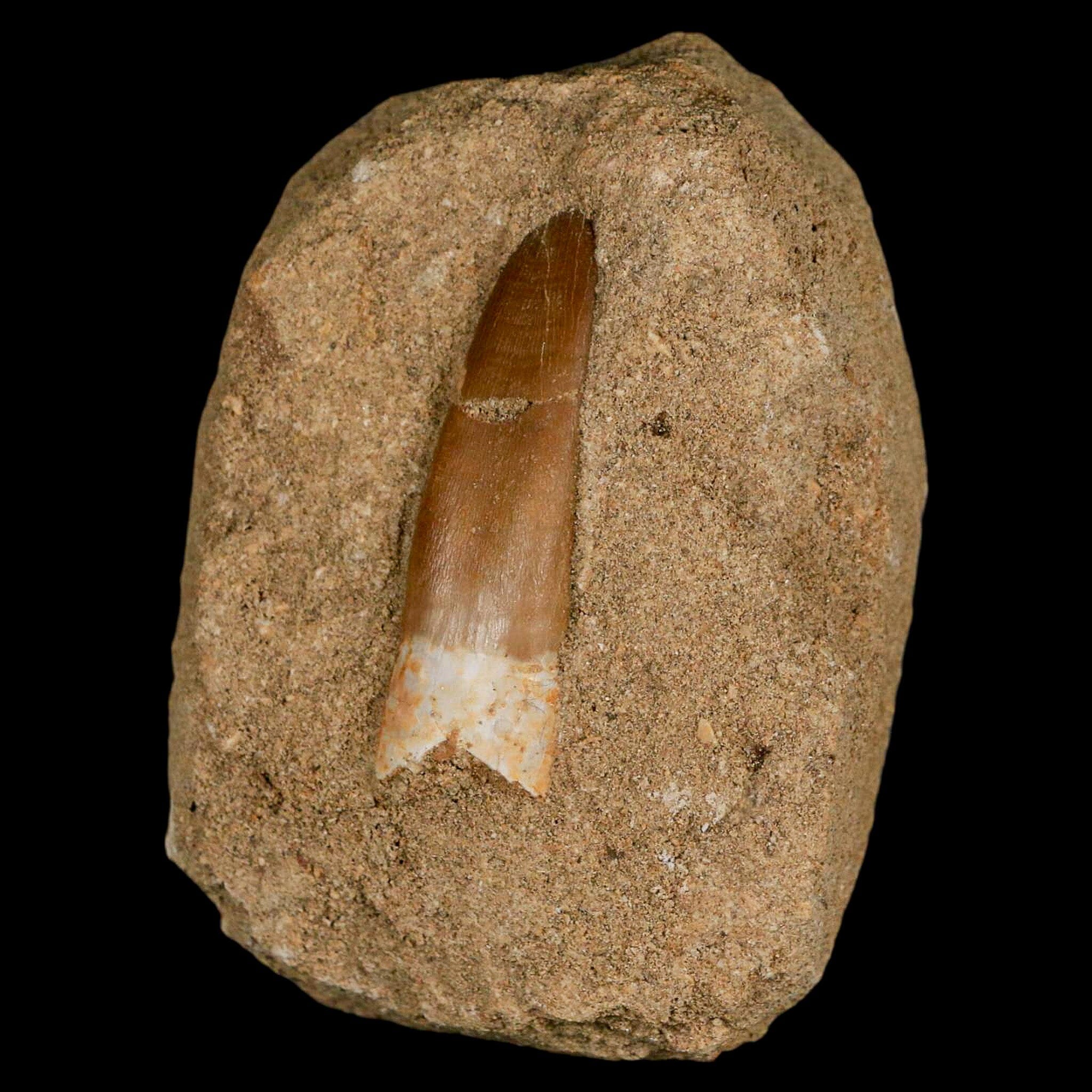 1.9