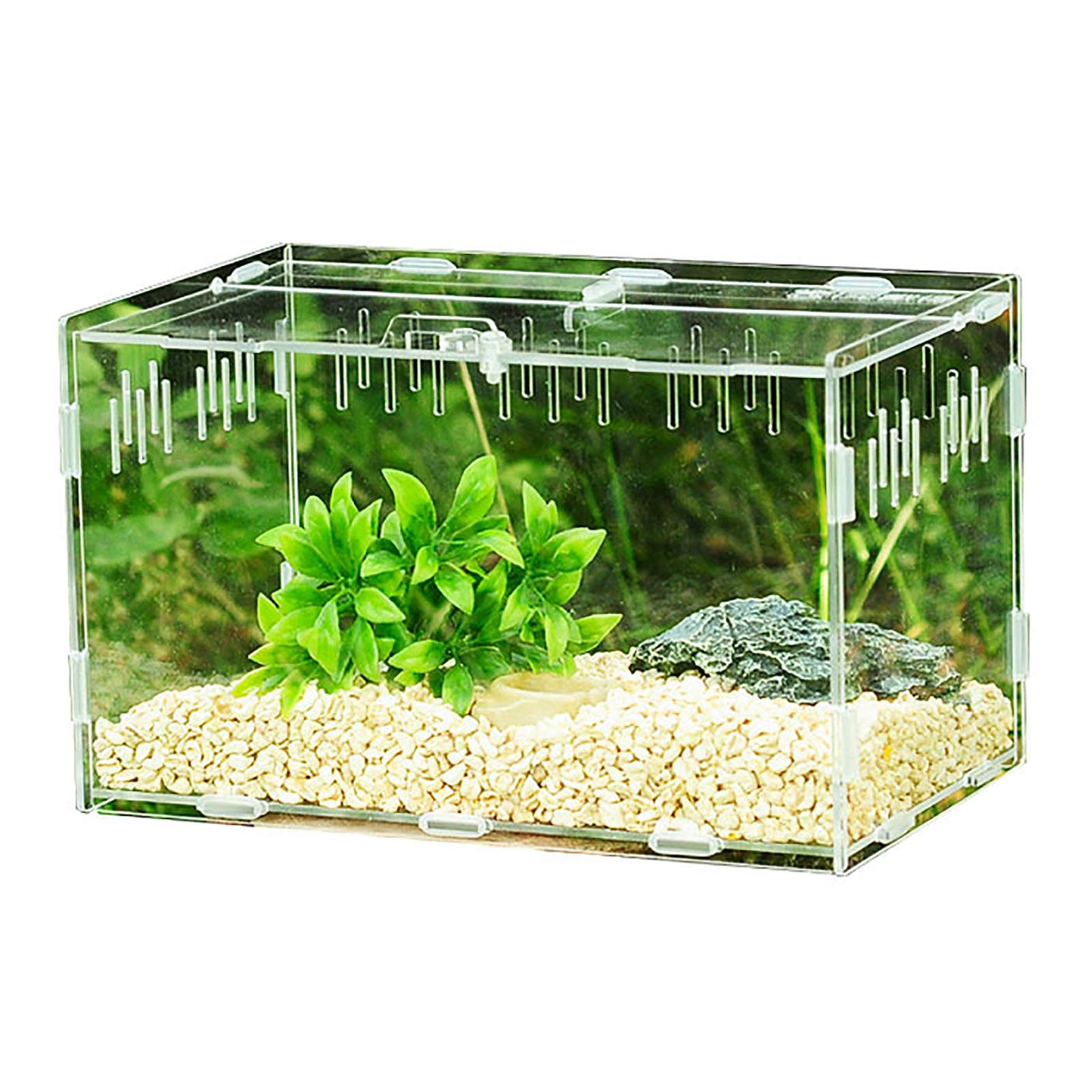 GETZ Acrylic Insect Feeding Box - Escape-Proof Terrarium for Spiders, Lizards, Frogs & Scorpions | Portable Reptile Habitat for Pet Feeding & Observation | Ideal for Home, Classroom & Science Projects