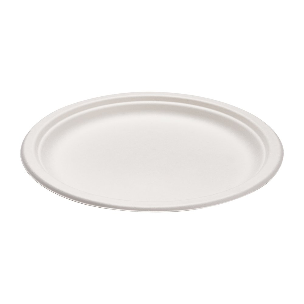 Morex 10-Inch Biodegradable Compostable Plates (500 Count) - Eco-Friendly Disposable Dinnerware for Parties, Picnics, and Events