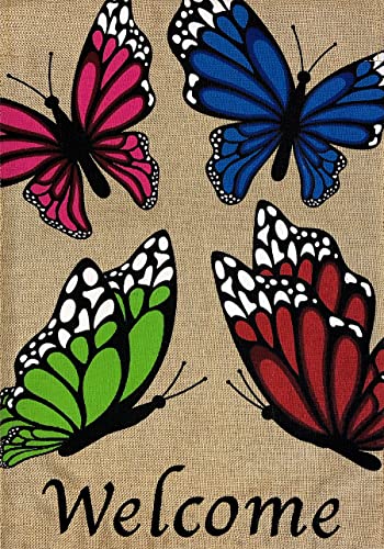 01 - Butterfly