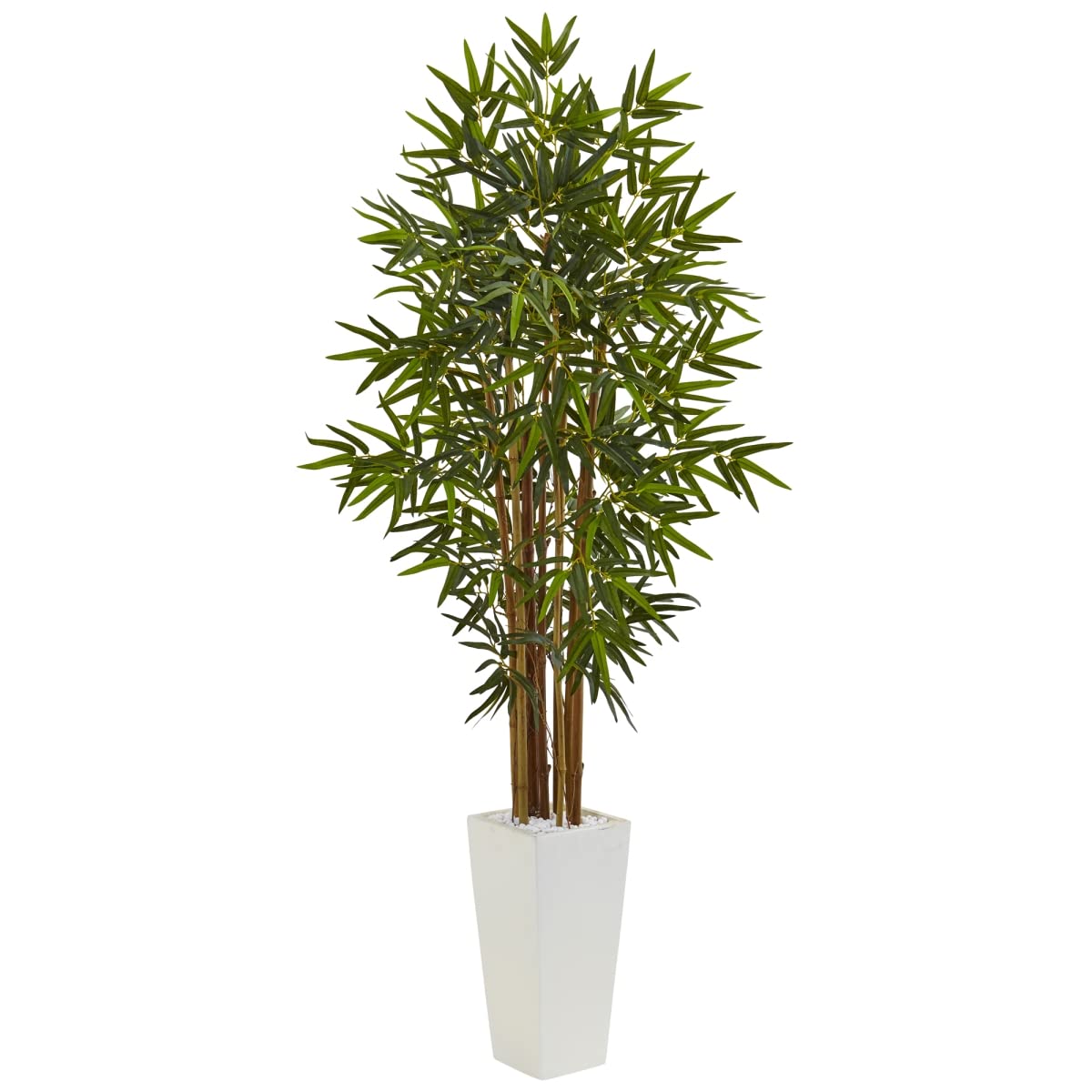 5 ft. Tall Indoor Bamboo Tree in Decorative White Tower Planter - Perfect for Home Office, Living Room Decor & Feng Shui