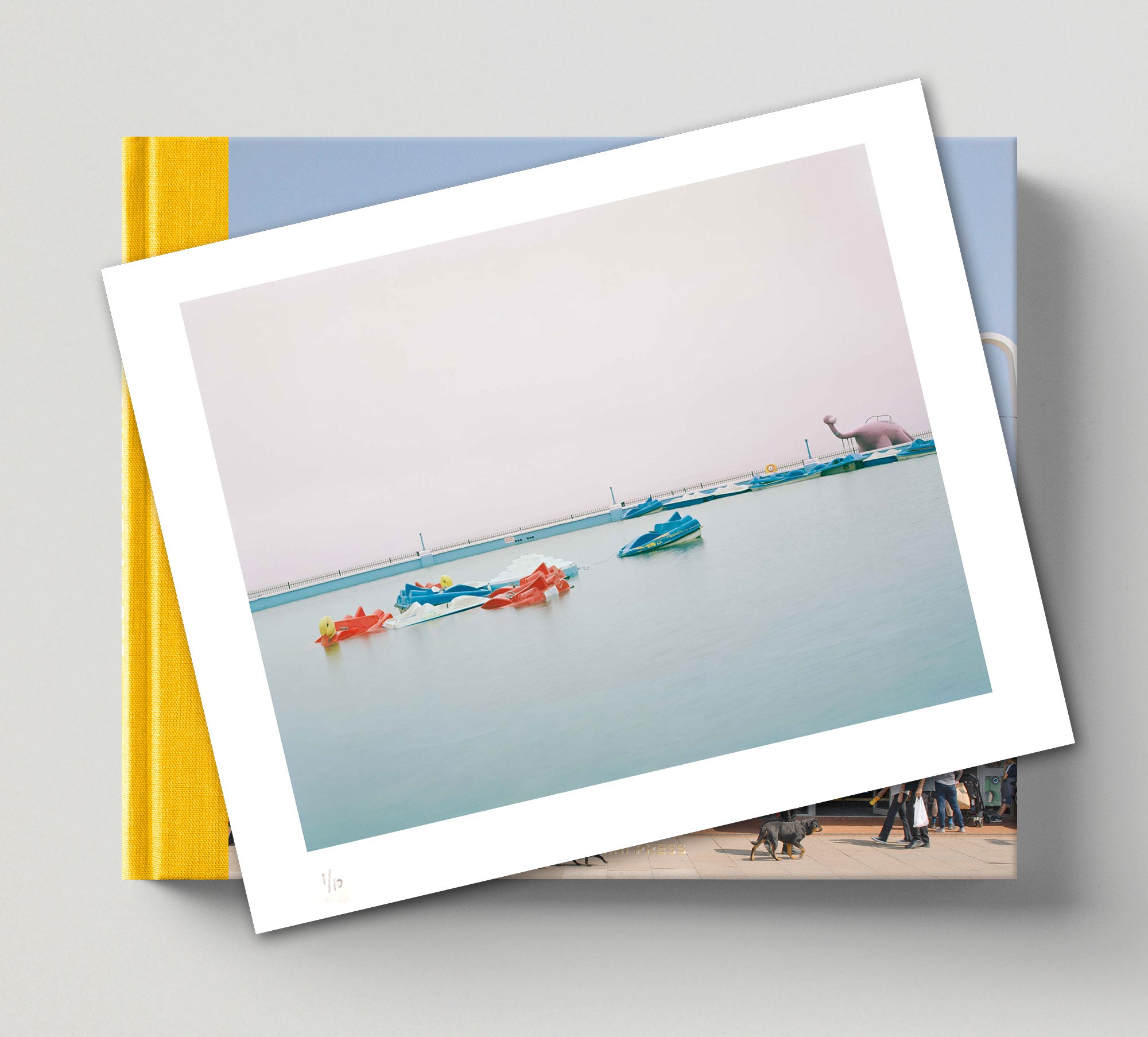 Limited Edition Art Prints (A, B, C) & Signed 