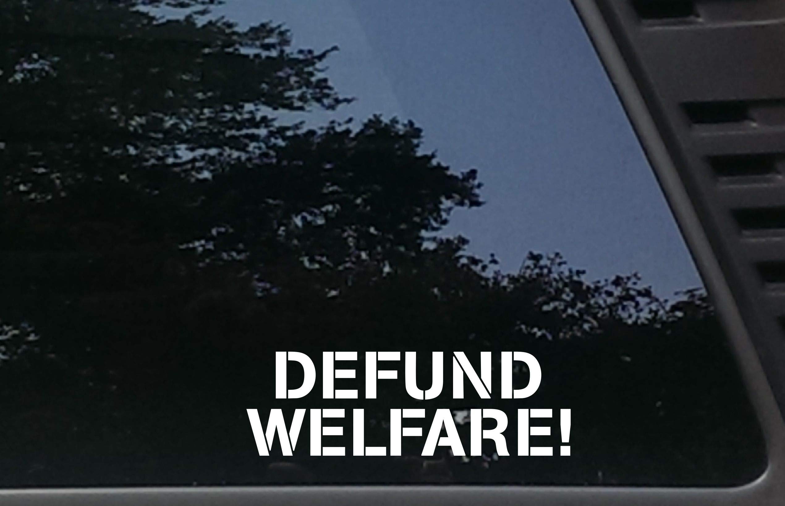 Defund Welfare - 7