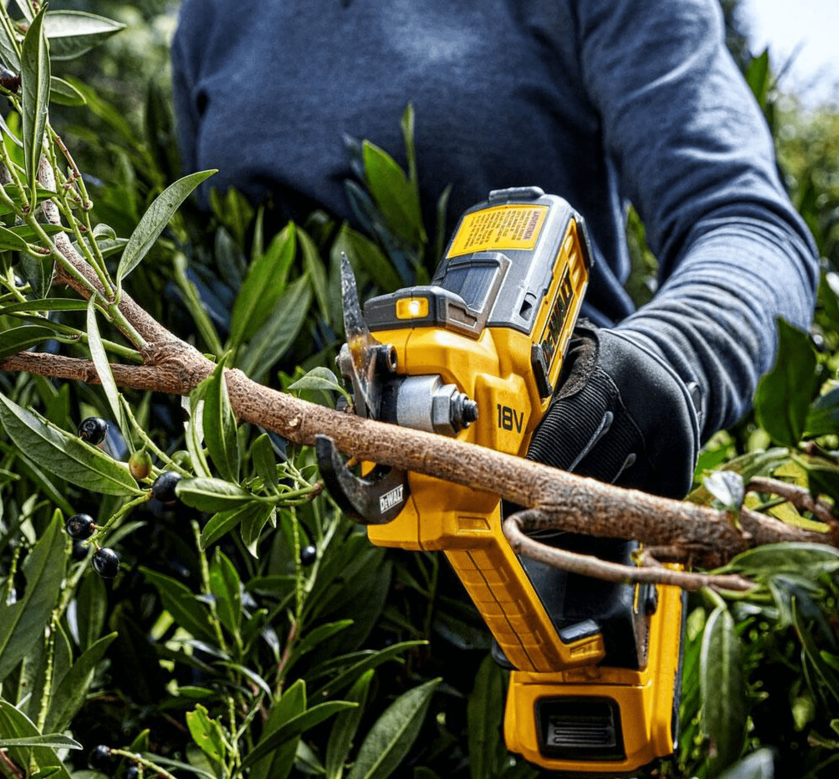 DeWalt DCMPP568P1 XE 18V XR Lithium-Ion Cordless Power Pruner & Shears Combo Kit - Perfect for Tree Trimming, Landscaping, and Garden Maintenance