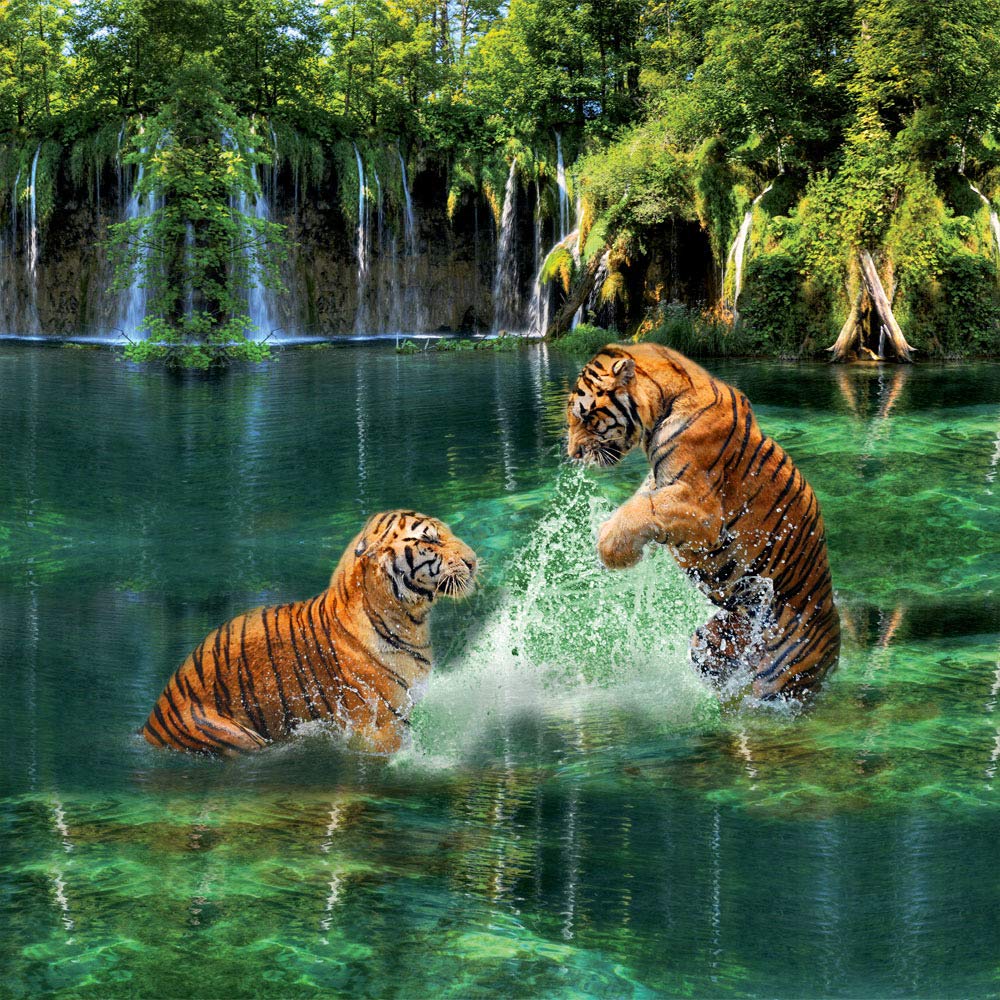 3D Water Tiger Print Bedding Set - King/Queen/Twin Size Duvet Cover, Quilt & Bed Sheets (4PCS) | Jungle Animal Theme for Kids & Adults | Perfect for Bedroom Decor, Gifts & Themed Parties