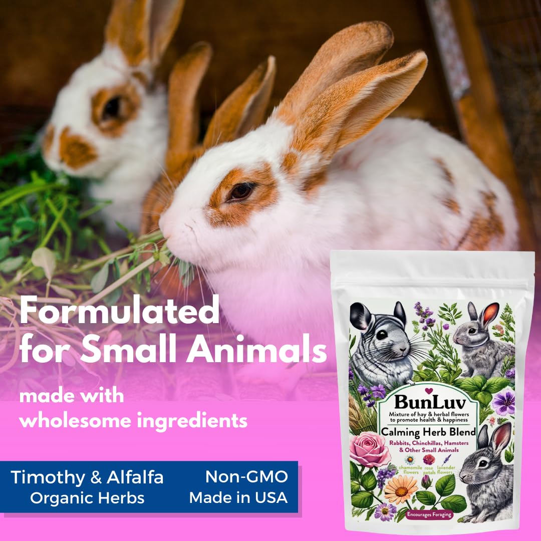 Premium Herbal Calming Forage: Timothy Hay & Organic Herbs Blend for Rabbits, Guinea Pigs, Chinchillas & Hamsters - 10oz Small Pet Treat - Perfect for Stress Relief & Natural Snacking