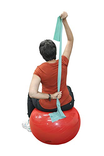 Cando® Latex-Free Resistance Bands - Heavy Duty Exercise Bands for Strength Training, Physical Therapy, and Home Workouts