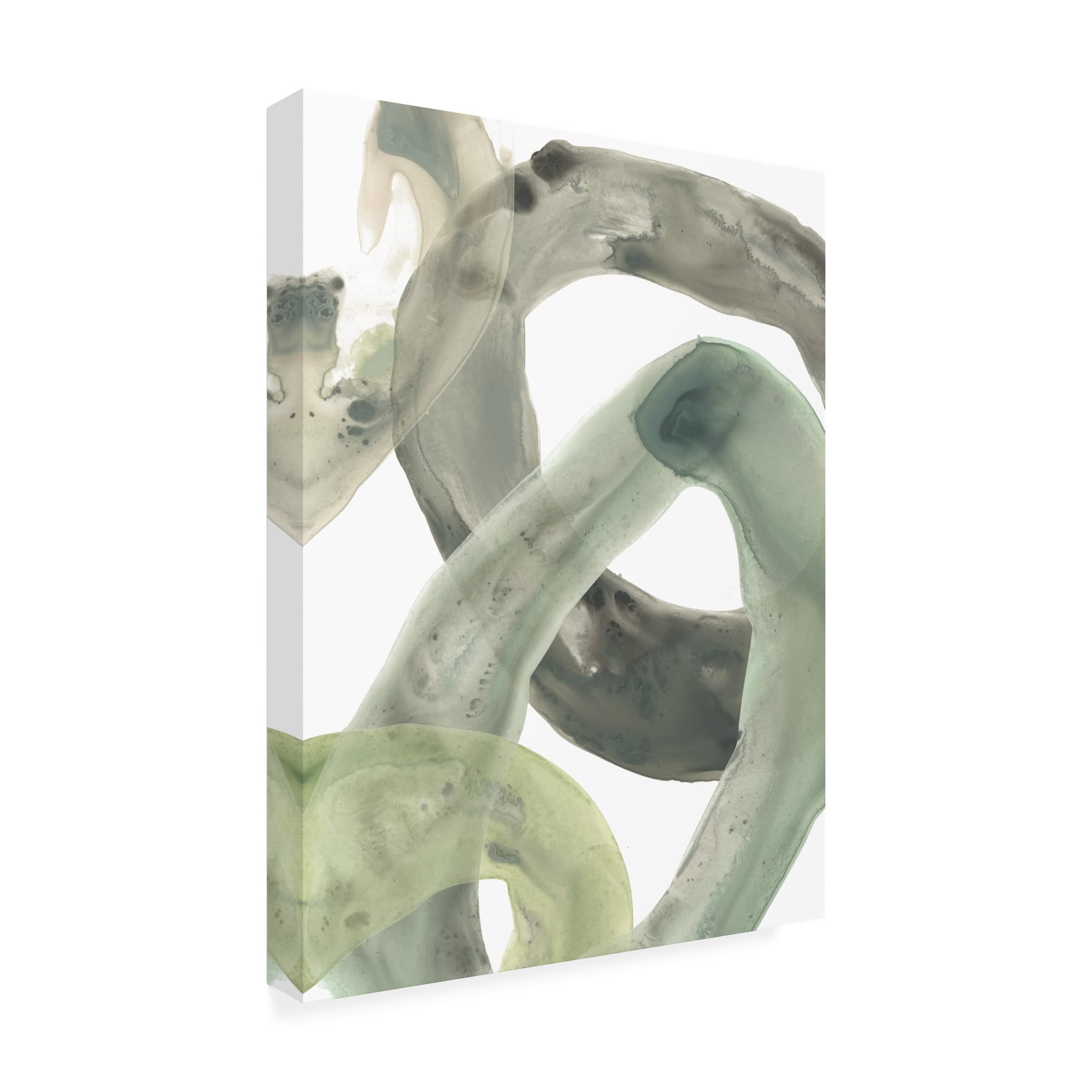 Trademark Fine Art 'Concentric Lichen IV' Canvas Wall Art Print by June Erica Vess - Modern Abstract Nature Painting for Living Room, Bedroom & Office Decor