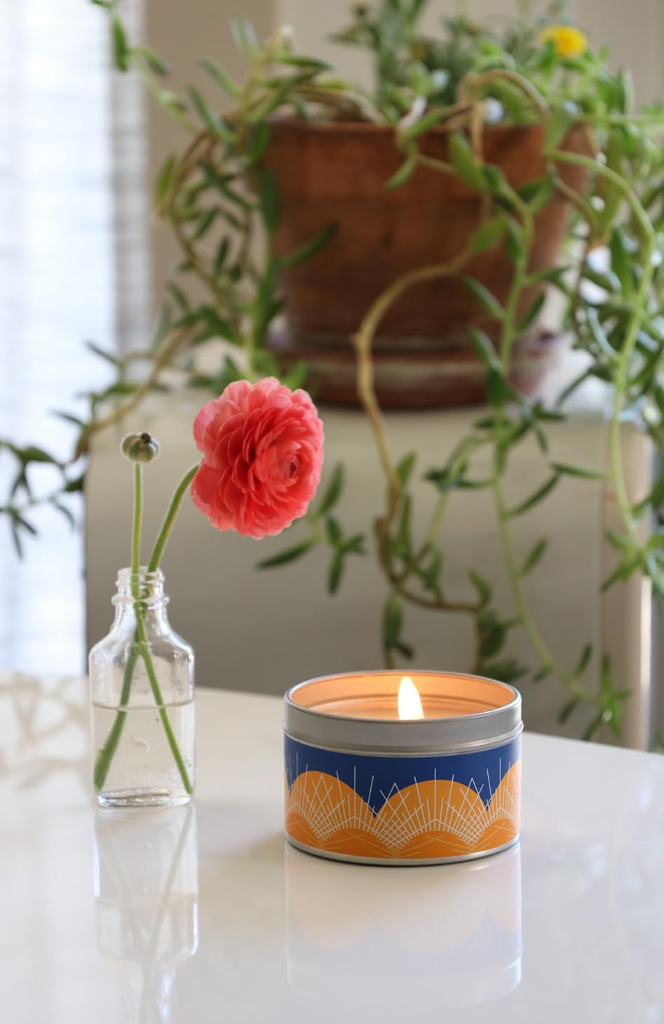 Eco-Friendly Paraffin-Free Scented Candle in Tin - 30 Hour Burn Time, Desert Juniper Aroma (6 oz) | Perfect Birthday Gift for Women & Men, Home Decor, Relaxation & Romantic Ambiance