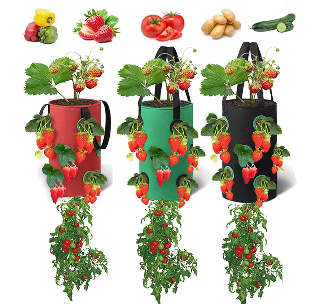 3PCS Upside Down Hanging Strawberry Grow Bags - 3 Gallon Planters (Green, Black, Red) with 12 Grow Pouches for Tomatoes, Chili & Vegetables | Space-Saving Vertical Garden Solution for Patio, Balcony & Indoor Planting