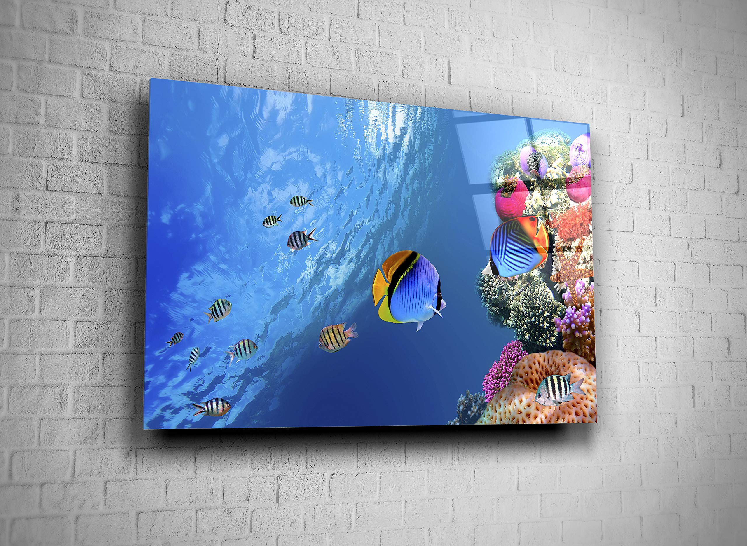 Exotic Tropical Fish & Ocean Coral Underwater Life Tempered Glass Canvas Wall Art - Modern Home, Office & Hotel Decor - Perfect Gift for Marine Lovers (24x36) - Ideal for Living Rooms, Bedrooms & Coastal-Themed Spaces