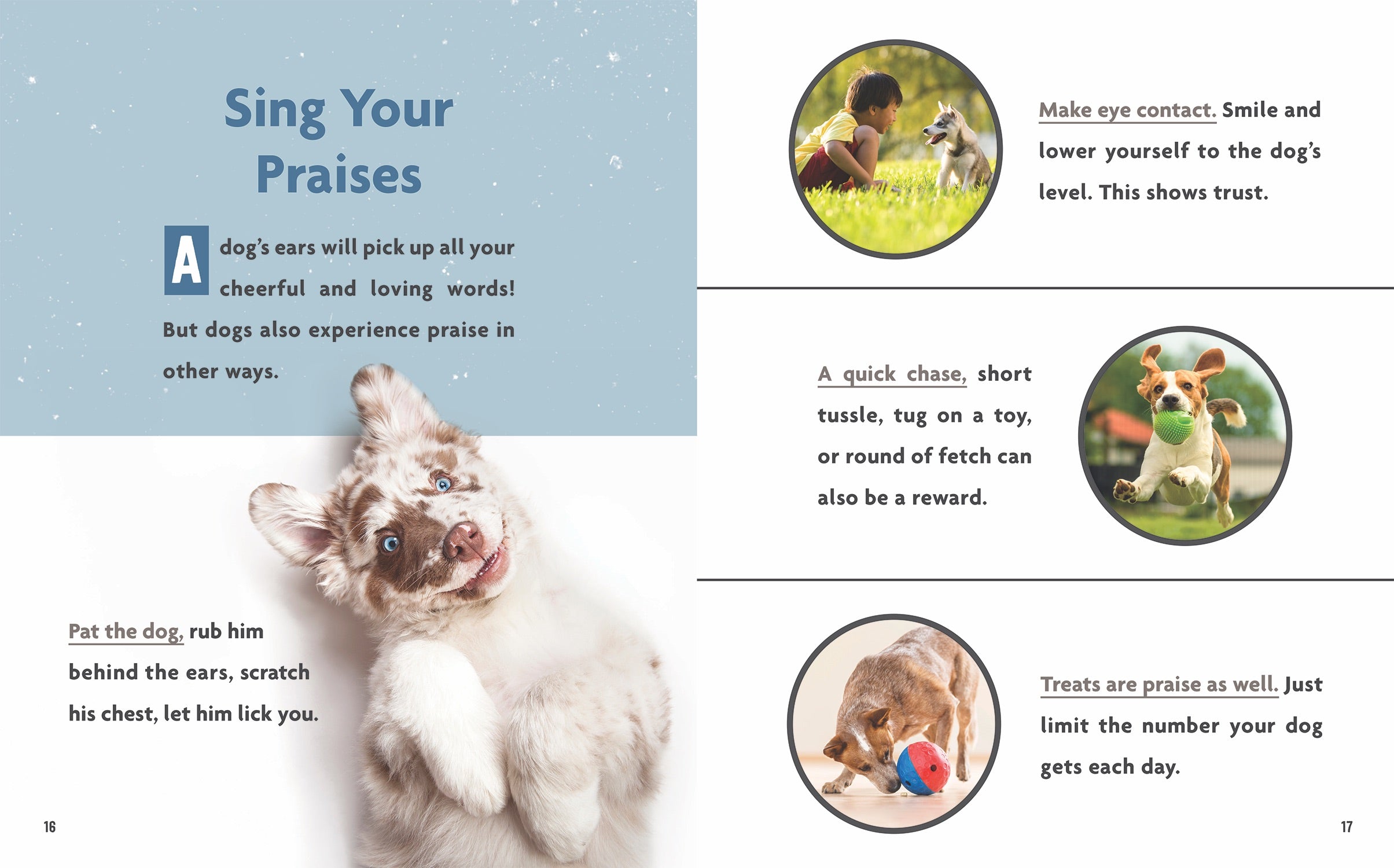 Dog's Life: How to Communicate with Your Dog - Training Tips & Bonding Activities for Pet Owners