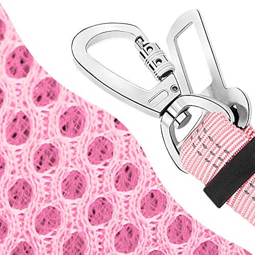 B1- Pink (Double Clip 2 in 1)