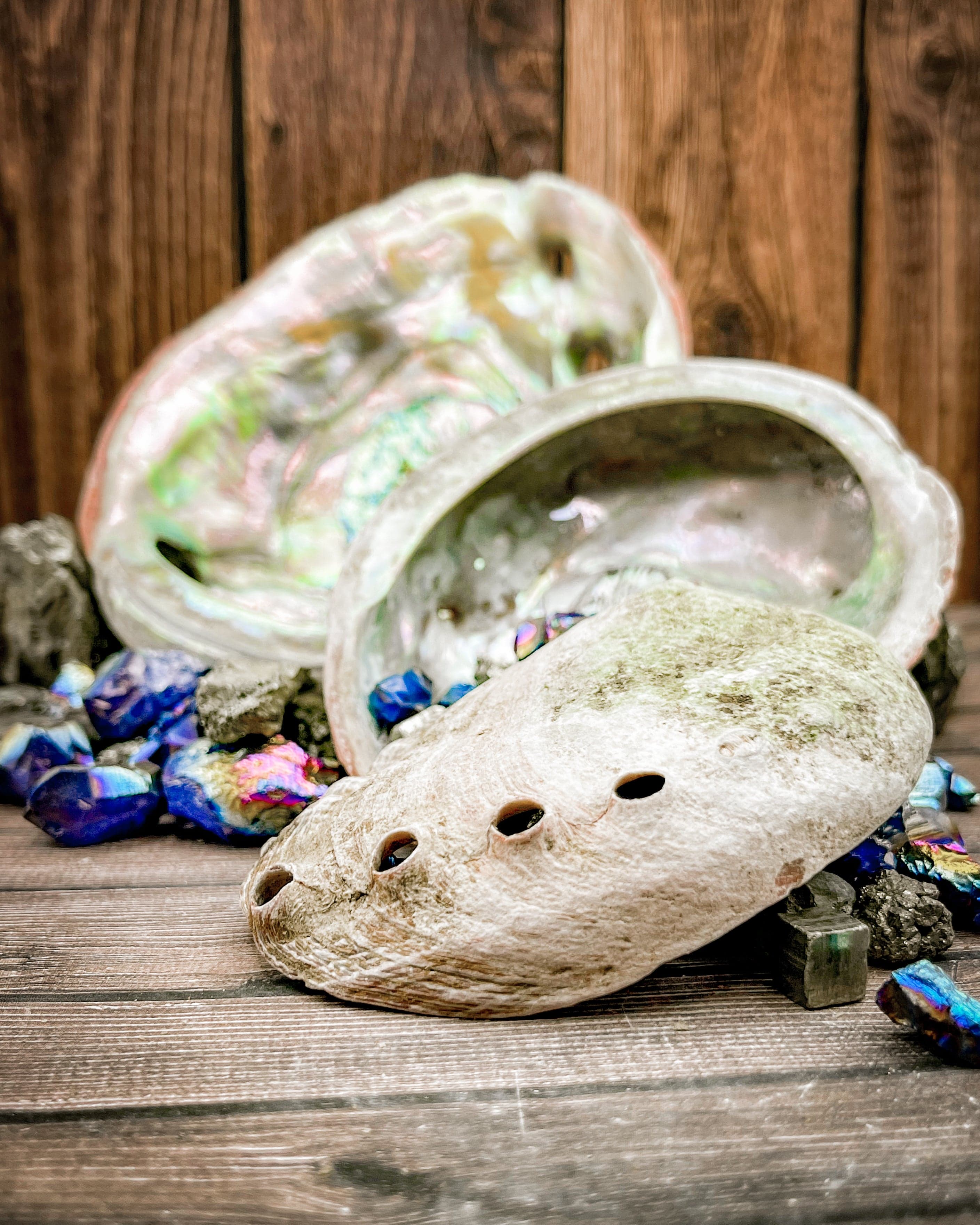 Natural Cleaned Abalone Shells for Jewelry Making, Home Decor, and Crafts – Single Piece – Sustainable Sourcing – Perfect for DIY Projects and Beach-Themed Decor