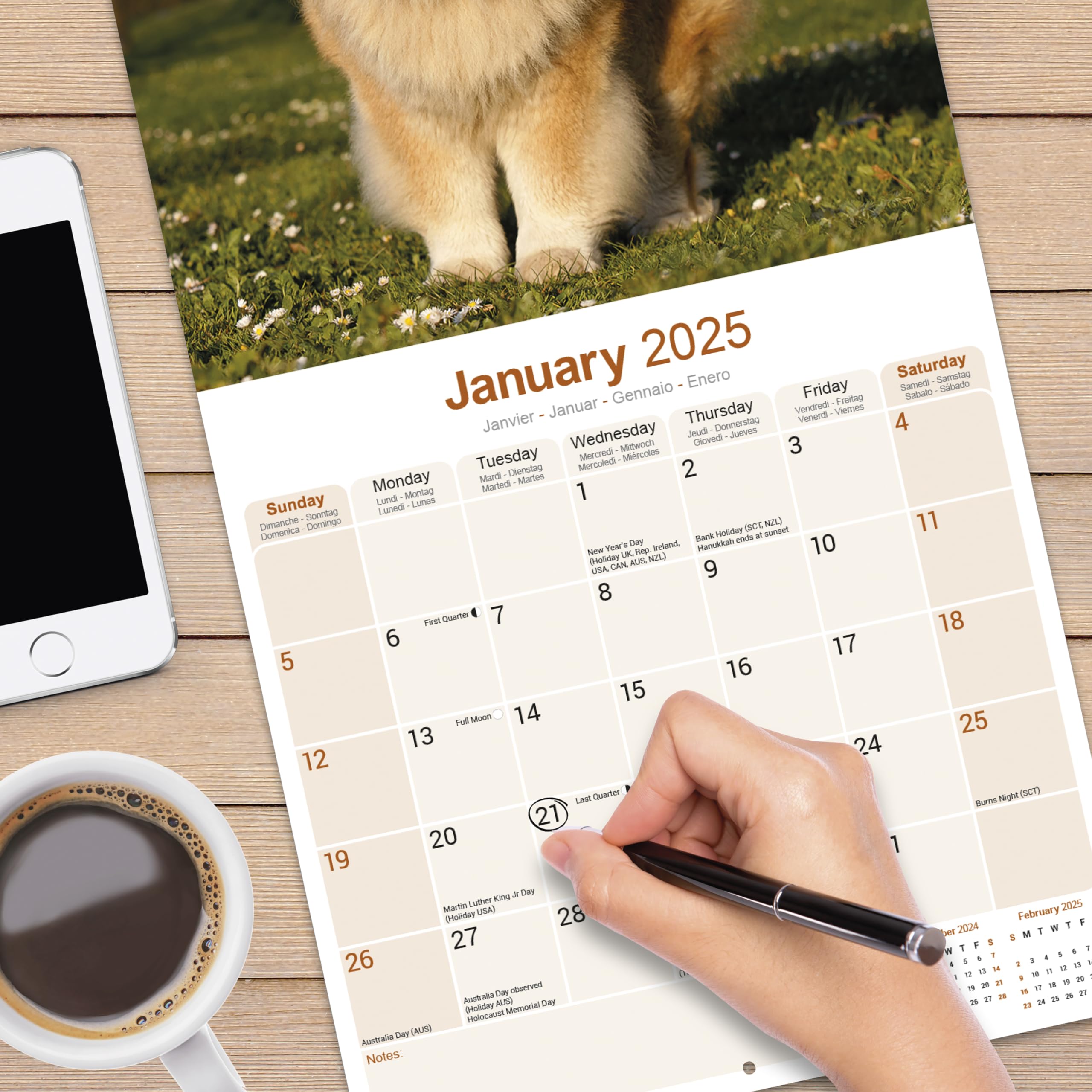 2025 Chow Chow Dog Breed Wall Calendar - 16 Month Square Planner for Home & Office Decor | Perfect Gift for Dog Lovers & Pet Owners