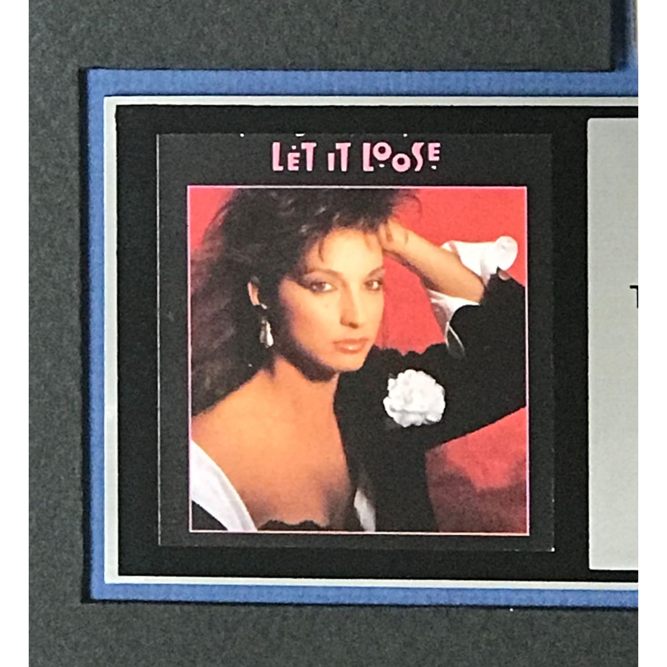 Gloria Estefan & Miami Sound Machine Let It Loose RIAA Certified Platinum Album Award - Perfect for Music Collectors and 80s Disco Fans