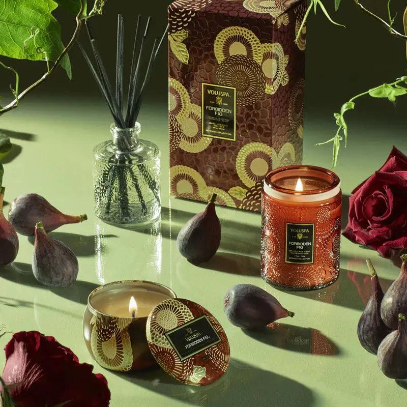 Forbidden Fig Reed Diffuser - Premium Home Fragrance Oil Set for Aromatherapy, Relaxation & Stress Relief - Perfect for Living Room, Bedroom, Office & Spa Decor