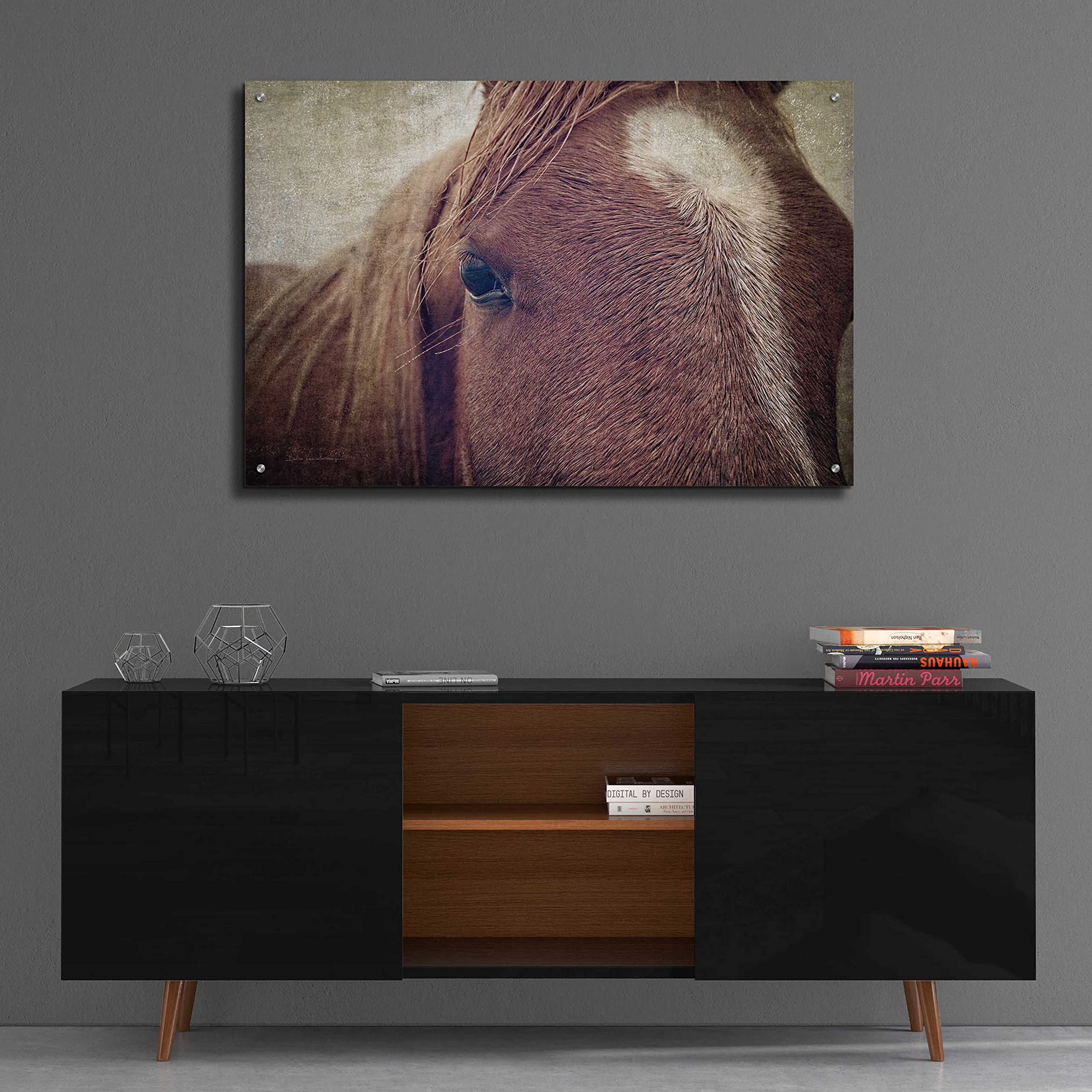 Epic Art 'Dew Lashes' by Debra Van Swearingen - 36x24 Inch Acrylic Glass Wall Art Painting, Modern Home Decor for Living Room, Bedroom & Office