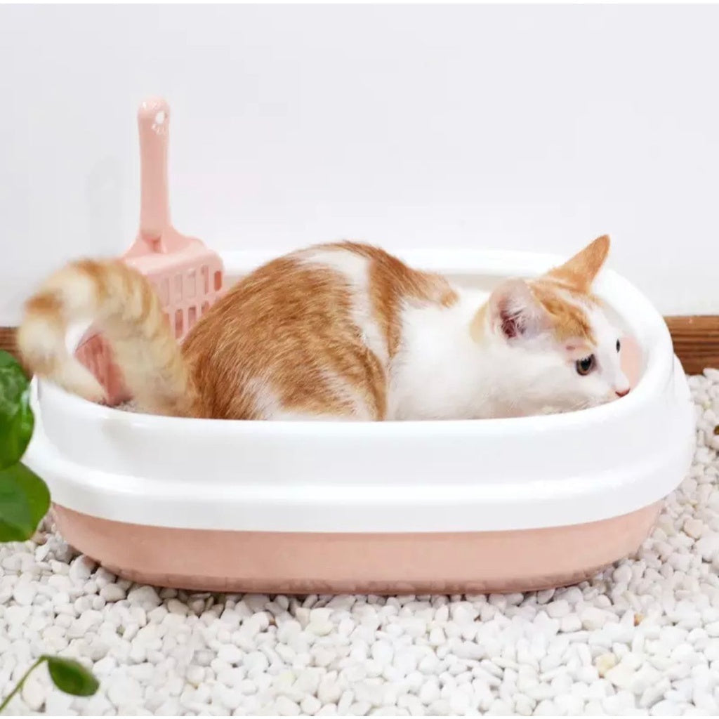 Easy Clean Cat Litter Box with Scoop - Odor Control Self-Cleaning Pet Litter Tray for Indoor Cats - Perfect for Small Spaces & Multi-Cat Homes