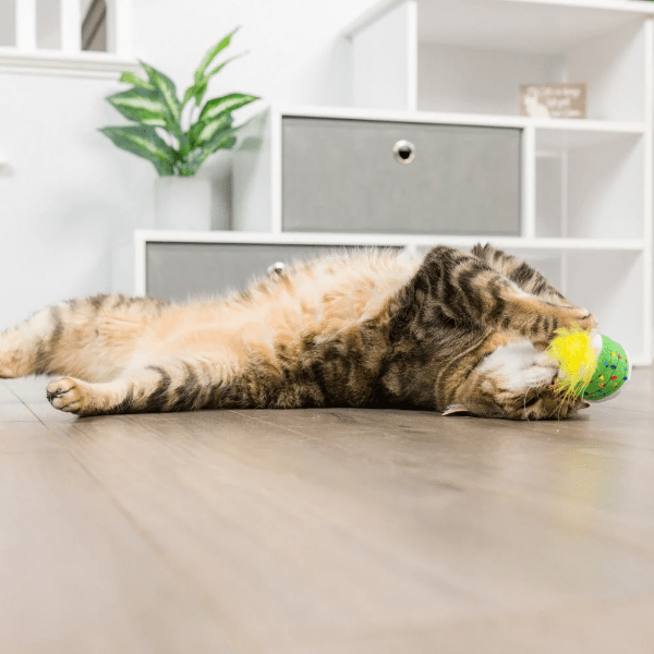 Premium Huxley & Kent Meh Christmas Cat Toy - Interactive Holiday Gift for Cats - Perfect for Playtime & Indoor Entertainment