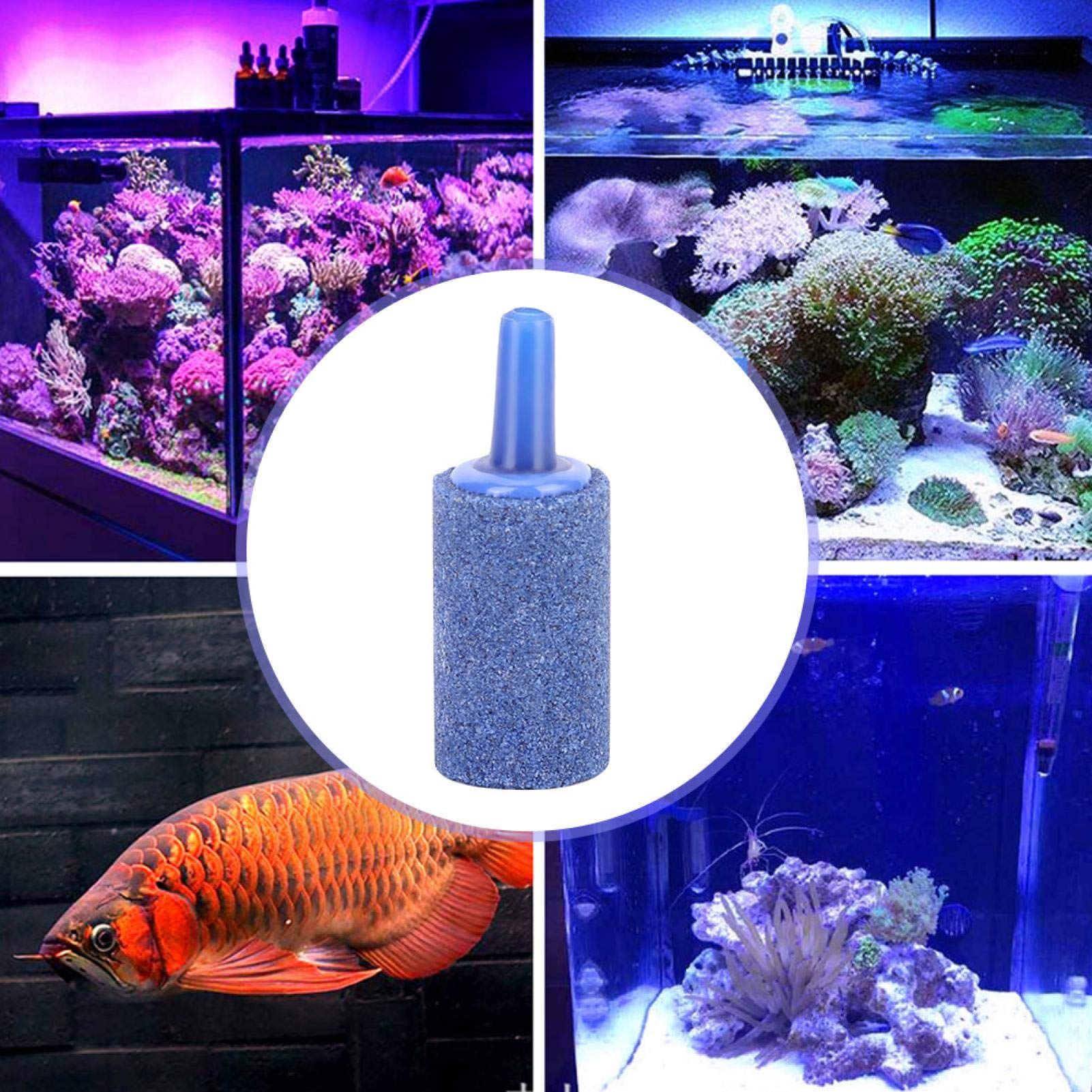 Dioche Cylinder Blue Bubble Stone - Premium Aquarium Air Stone for Fish Tank Aeration, Oxygenation & Decoration | Perfect for Freshwater & Saltwater Tanks, Aquatic Plants, and Pet Fish Habitats