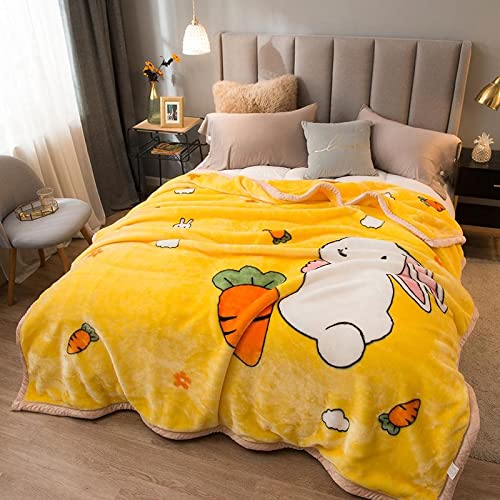 Premium Korean Mink Blanket - Heavyweight 2 Ply Fleece Blanket Twin Size 60
