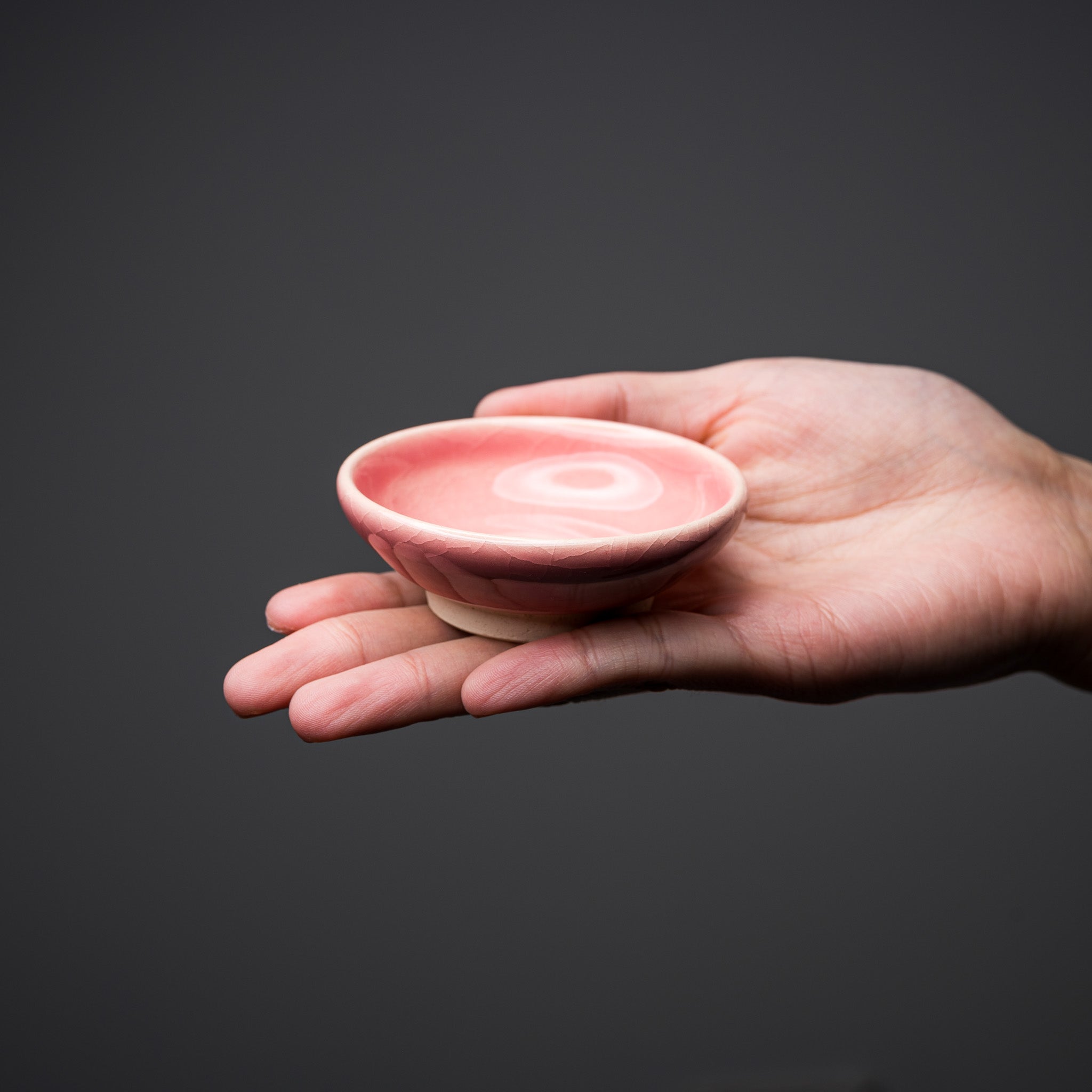 NINSHU Single Small Dish - Omuro Cherry Blossom Design, Japanese-Style Ceramic Appetizer Plate for Sushi, Desserts, and Home Decor