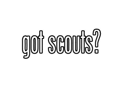 EW Designs Boy Scouts of America Vinyl Decal Sticker - 5
