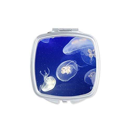 DIYthinker Ocean Jellyfish Science Nature Pocket Mirror - Double Sided Compact Makeup Mirror for Travel, Purse & Cosmetics (Portable Glass Mirror with Marine Life Design)
