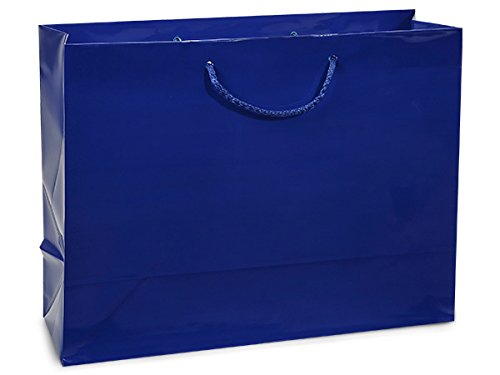 Premium Gloss Laminated Gift Bags - Royal Finish Medium Size 13x5x10 Inches (100-Pack Bulk) - Perfect for Birthday, Wedding & Holiday Gift Wrapping