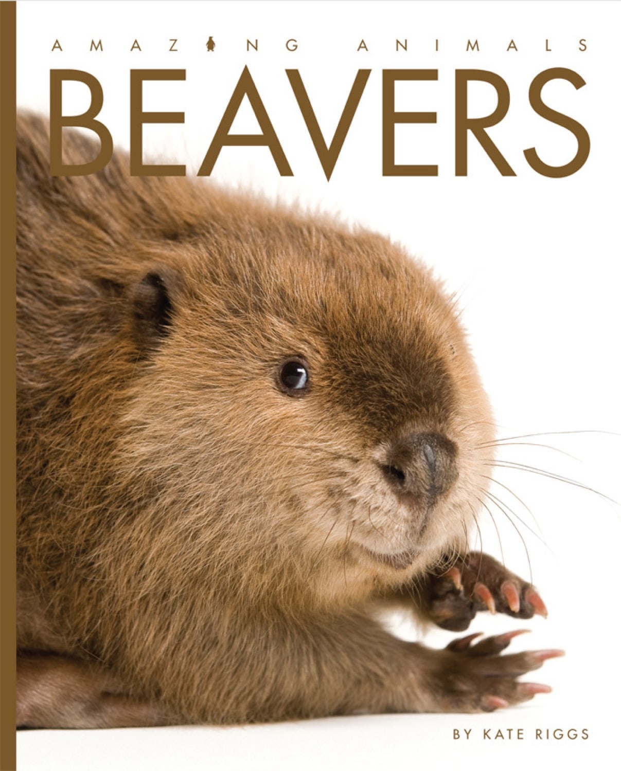 Amazing Animals (2014): Beavers - Educational Wildlife Documentary for Kids | Perfect for Homeschooling & Nature Learning